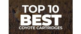 The 10 Best Coyote Cartridges