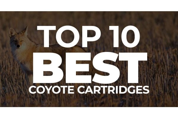 The 10 Best Coyote Cartridges