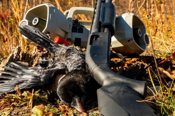 Shotgun Loads For Crows