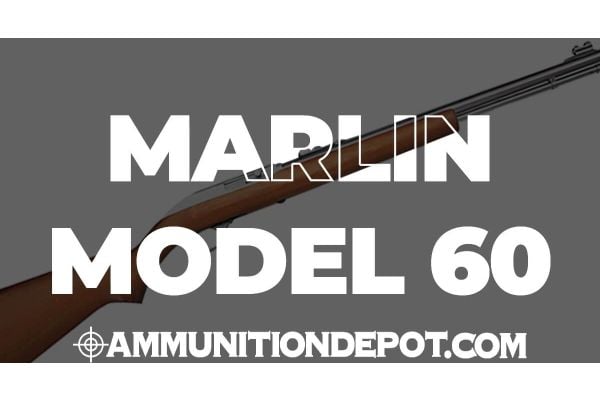 Marlin Model 60 Rifle Review