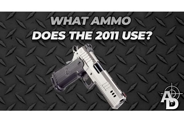 2011 pistols