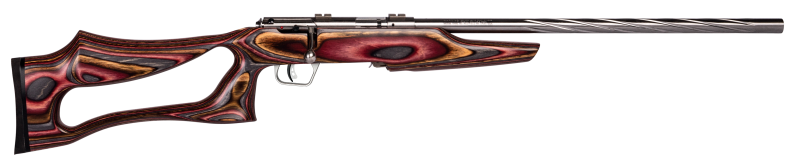 Savage Bolt 22 LR 21" Laminated/Stainless