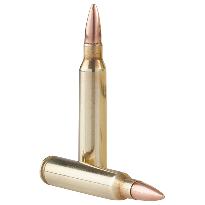 TR&Z 5.56x45mm NATO 55 Gr FMJ Boat Tail TR&Z 5.56x45mm NATO 55 Gr FMJ Boat Tail