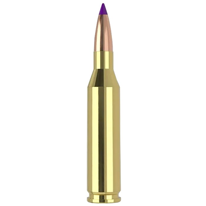 Nosler 243 Win 70 Gr Ballistic Tip Varmint BTV
