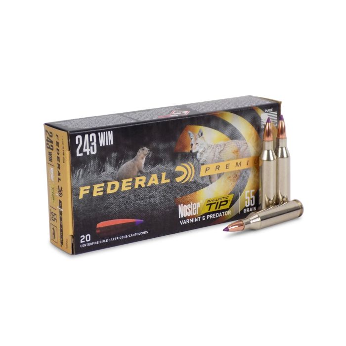 P243H Federal Premium 243 Winchester 55 Grain Nosler Ballistic Tip