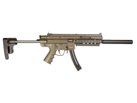 GSG GSG-16 22 LR 16.25" 10+1 Black Semi-auto Rifle