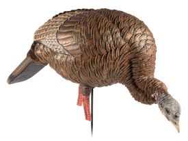 Avian X HDR Feeding Hen Turkey Decoy Multi-Color