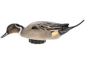 Avian X Pintail Surface Feeder Duck Decoy with Shaker Motion