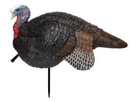 Primos Lil Gobstopper Jake Turkey Decoy Multi-Color