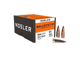 Nosler 6mm 55gr Ballistic Tip