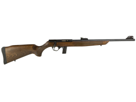 Rossi 22 LR 18" 10+1 (Bolt) RB22L1811WD