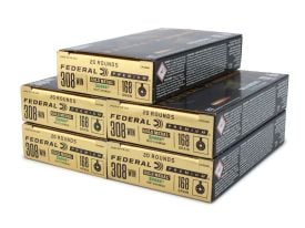 Federal Gold Medal Match 308 Winchester 168 Grain SMK BTHP (Range Bundle)