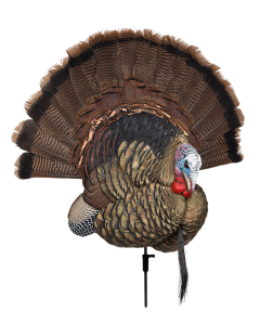 Avian X Trophy Tom Turkey Display and 2D Decoy Multi-Color