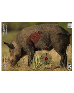 Birchwood Casey Pregame 16.5x24 Boar Paper Targets, 3 Pack (Multi-Color)