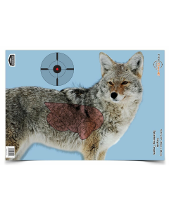 Birchwood Casey Pregame 16.5x24 Coyote Paper Targets, 3 Pack (Multi-Color)