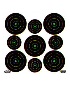 Birchwood Casey Dirty Bird 2-3" Bullseye Paper Targets, 20 Pack (Black/Green)