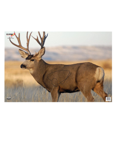 Birchwood Casey EZE-Scorer 23x35 Mule Deer Paper Targets, 2 Pack (Multi-Color)