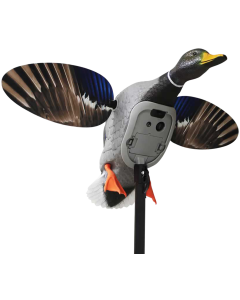 Mojo Elite Series King Mallard Decoy Multi-Color Plastic