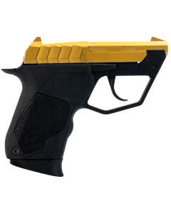 Taurus 22TUC 22 LR 2.50" 9+1 Gold