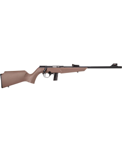 Rossi Rb22 22 LR Bolt 16" 10+1 FDE