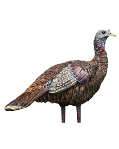 Avian X LCD Lookout Hen Turkey Decoy Multi-Color Dura-Rubber