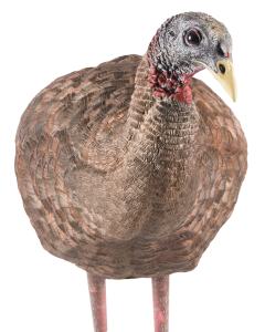 Avian X LCD Breeder Hen Turkey Decoy Multi-Color Dura-Rubber