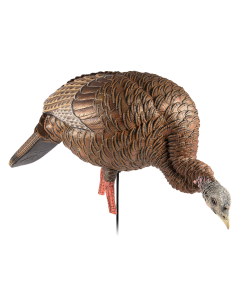 Avian X HDR Feeding Hen Turkey Decoy Multi-Color