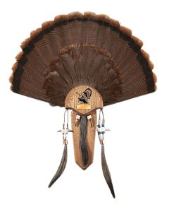 Hunters Specialties Turkey Fan Beard Mount Kit Natural Oak Plaque