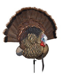 Avian X Trophy Tom Turkey Display and 2D Decoy Multi-Color