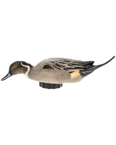 Avian X Pintail Surface Feeder Duck Decoy with Shaker Motion