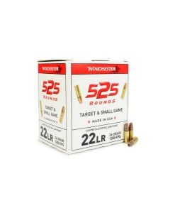 Winchester Target & Small Game 22 LR 36 Gr Copper Plated HP (Box)