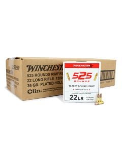 Winchester Target & Small Game 22 LR 36 Gr Copper Plated HP (Case)