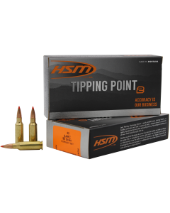Hsm Tipping Point 6mm ARC 95 Gr Super Shock Tip (Box)