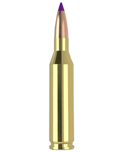 Nosler 243 Win 70 Gr Ballistic Tip Varmint BTV (Box)