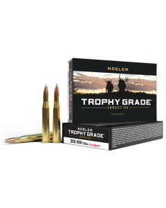 Nosler Trophy Grade 300 H&H Mag 180 Gr Nosler AccuBond (Box)
