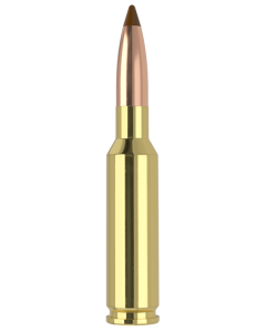 Nosler 6.5x55 Swedish 140 Gr Ballistic Tip (Box)