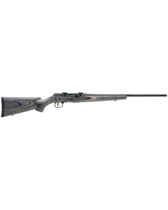 Savage Arms 17 WSM 22" 8+1 (Semiauto) 47801