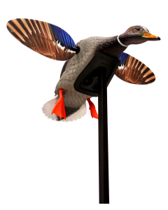 Mojo Mallard Drake Plastic Motion Decoy