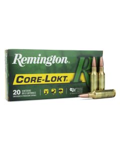 Remington Core-Lokt .300 Rem SAUM 165 Gr PSP