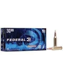 Federal 243 Win 100 Gr Power-Shok SP