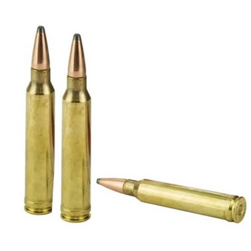 300 WIN MAG Ammo Photo
