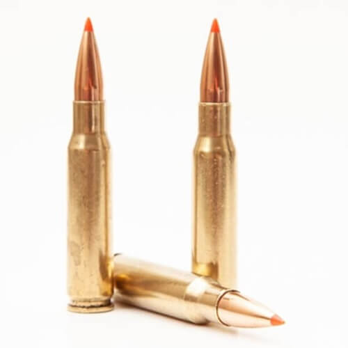 308 Winchester Ammo Photo