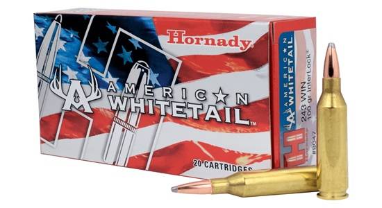 Hornady American Whitetail 243 win 100gr InterLock ammo