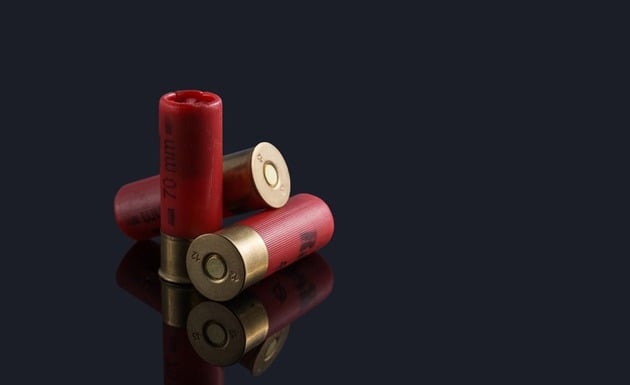 Shotgun Shell Ammo