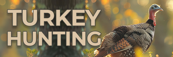 Turkey Hunting