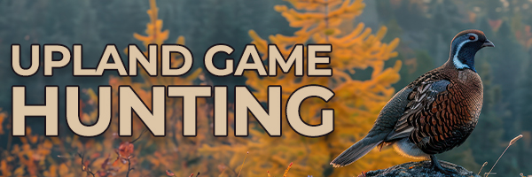 Upland Game Hunting
