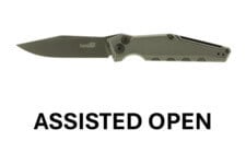 Assisted Open Knives
