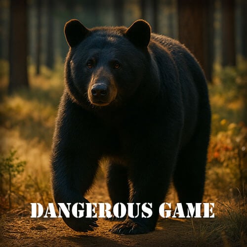 Dangerous Game Hunting