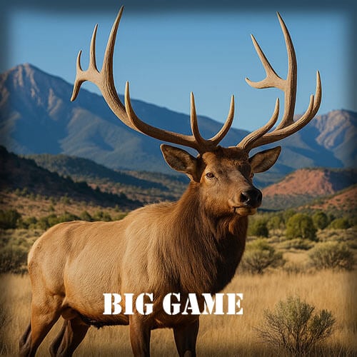 Big Game Hunting