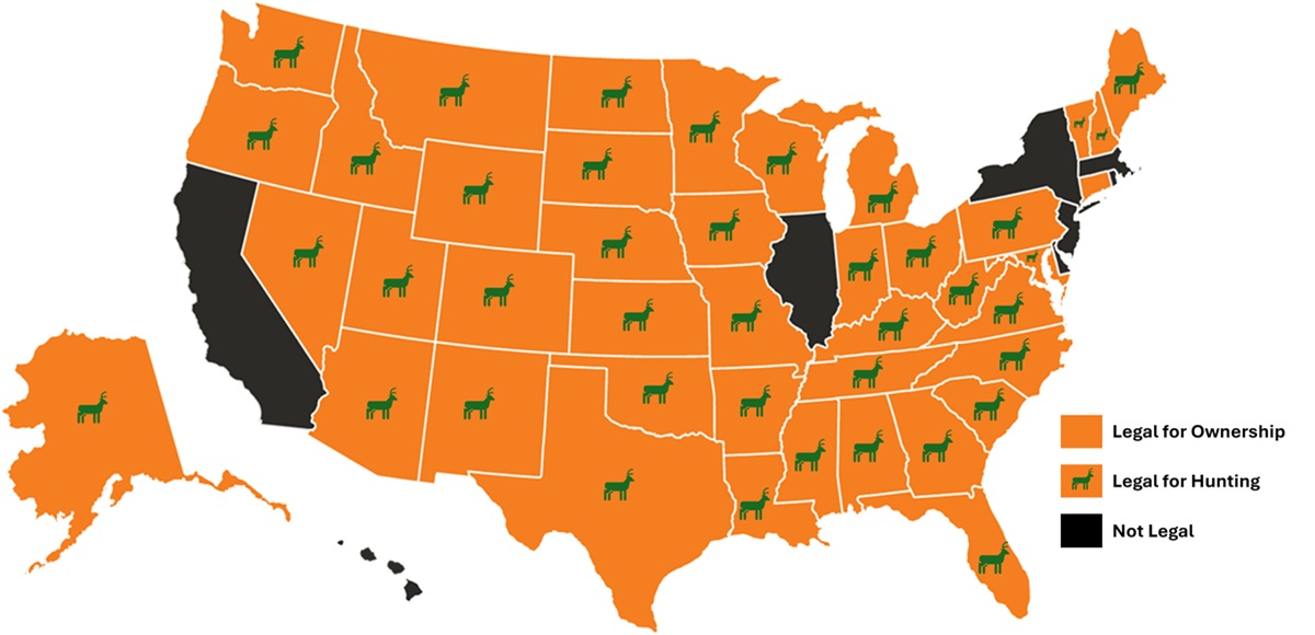Legal State for Silencers